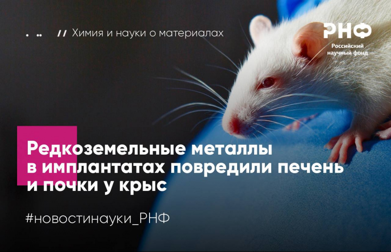 Ученые из ИМЕТ РАН имени А.А. Байкова совместно с коллегами из НМИЦ травматологии и ортопедии имени академика Г.А. Илизарова показали, что некоторые редкоземельные добавки в титановых имплантах могут вызывать повреждения внутренних органов