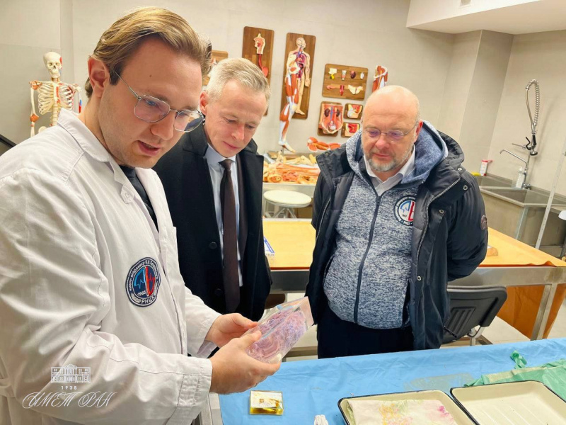 Наука для медицины будущего: ИМЕТ РАН и НИИ морфологии человека обсудили перспективы сотрудничества 